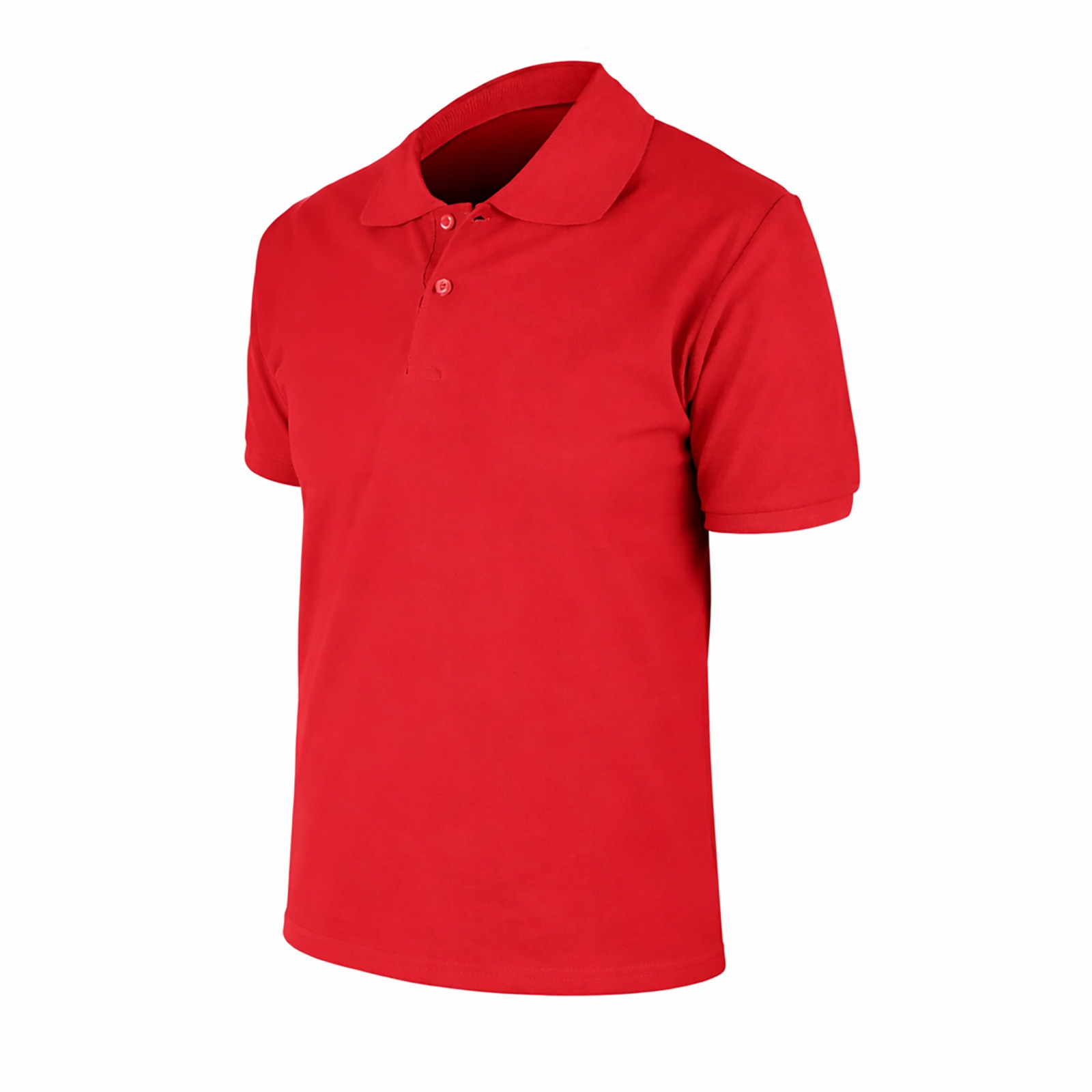 498508 BEGONYA BORDO L POLO YAKA TİŞÖRT